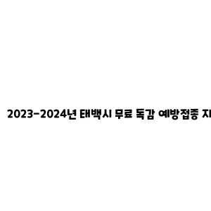 2023-2024년 태백시 무료 독감 예방접종 지원 사업 안내