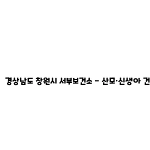 경상남도 창원시 서부보건소 - 산모·신생아 건강관리 지원사업