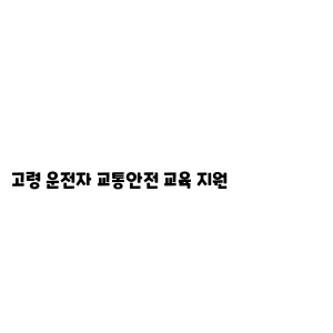 고령 운전자 교통안전 교육 지원