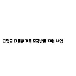 고령군 다문화가족 모국방문 지원 사업