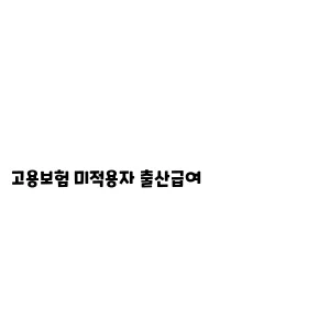 고용보험 미적용자 출산급여