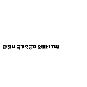 과천시 국가유공자 의료비 지원