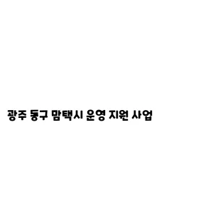 광주 동구 맘택시 운영 지원 사업