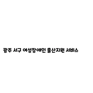 광주 서구 여성장애인 출산지원 서비스