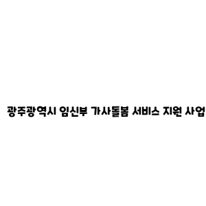 광주광역시 임신부 가사돌봄 서비스 지원 사업