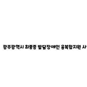 광주광역시 최중증 발달장애인 융복합지원 사업 안내