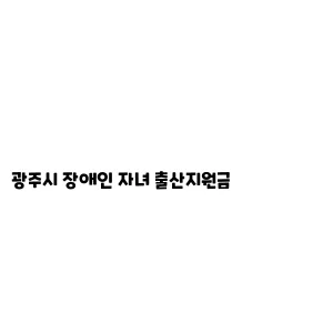 광주시 장애인 자녀 출산지원금