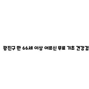 광진구 만 66세 이상 어르신 무료 기초 건강검진