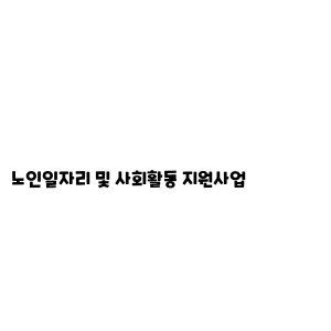 노인일자리 및 사회활동 지원사업