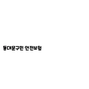 동대문구민 안전보험