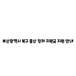 부산광역시 북구 출산 장려 지원금 지원 안내