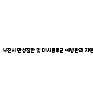 부천시 만성질환 및 대사증후군 예방관리 지원 사업