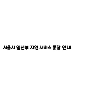 서울시 임산부 지원 서비스 종합 안내