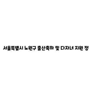 서울특별시 노원구 출산축하 및 다자녀 지원 정책 안내