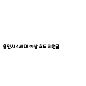 용인시 4세대 이상 효도 지원금