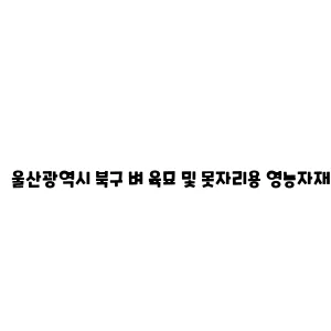 울산광역시 북구 벼 육묘 및 못자리용 영농자재 지원 사업 안내