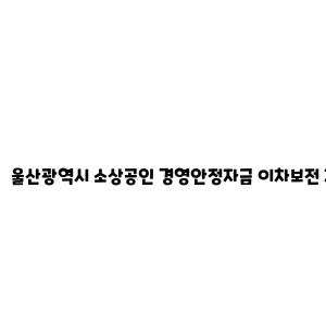 울산광역시 소상공인 경영안정자금 이차보전 지원 사업