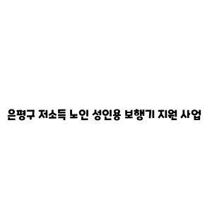 은평구 저소득 노인 성인용 보행기 지원 사업