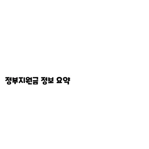 정부지원금 정보 요약