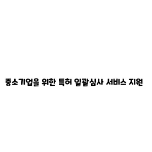 중소기업을 위한 특허 일괄심사 서비스 지원