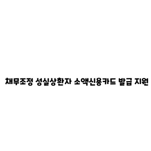 채무조정 성실상환자 소액신용카드 발급 지원