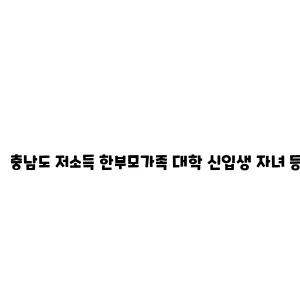 충남도 저소득 한부모가족 대학 신입생 자녀 등록금 지원